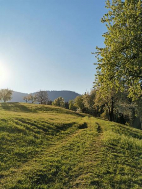 Apartma Lesjak - pobeg v naravo